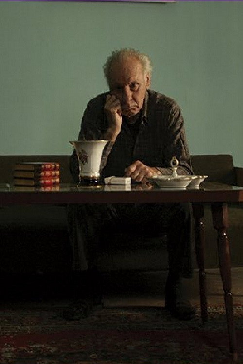 Movie poster for Liberation in 26 Pictures (2009)