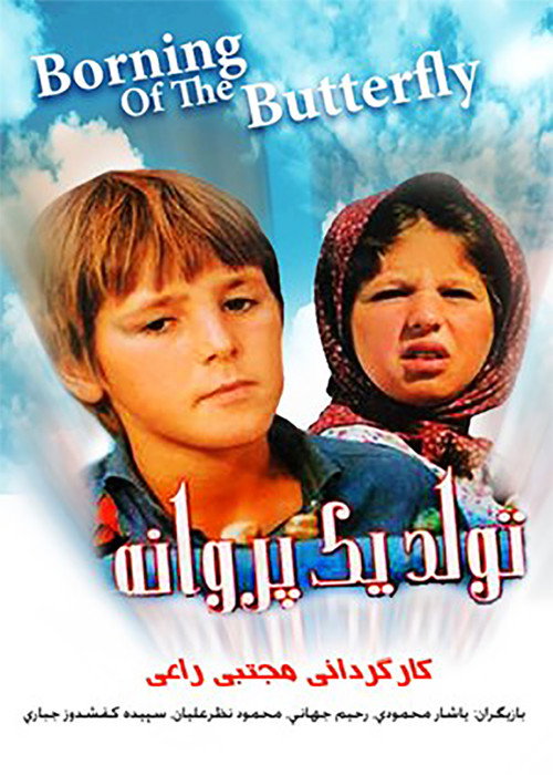 Movie poster for Birth of a Butterfly (2000)