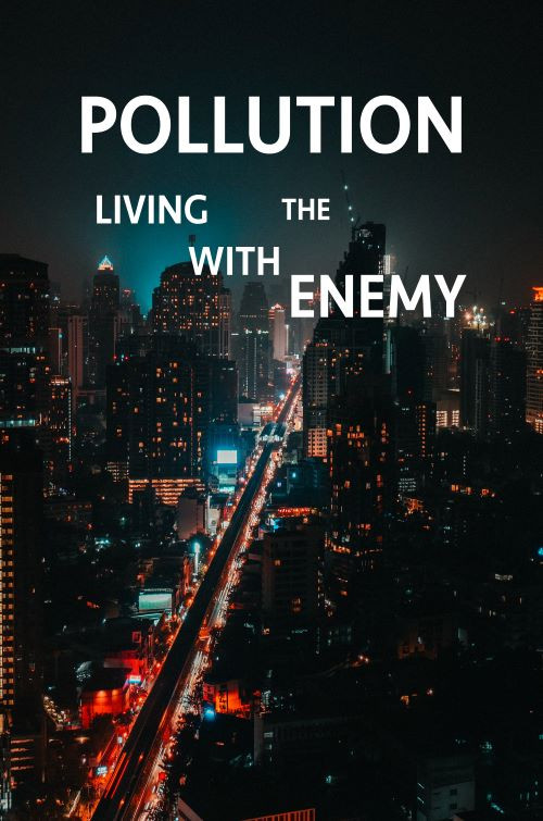 Movie poster for Pollution: Living with the Enemy (2020)