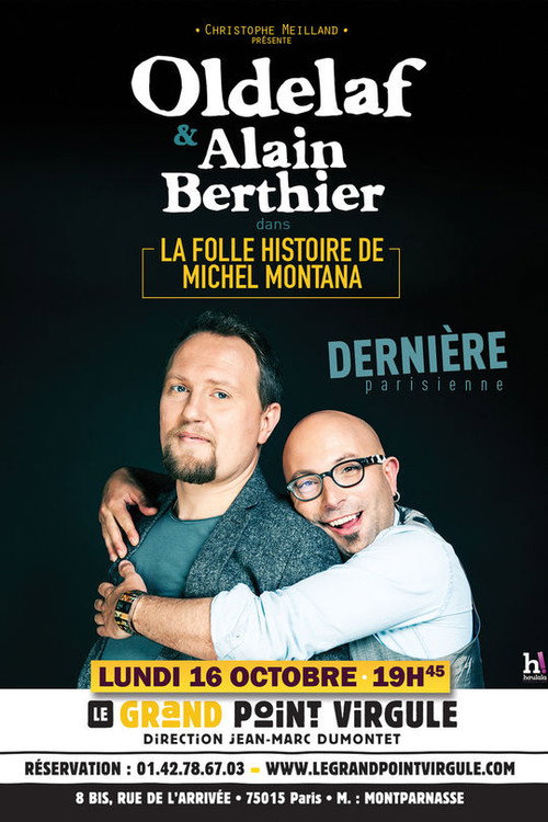 Movie poster for La folle histoire de Michel Montana (2017)