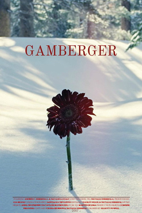 Movie poster for Gamberger (2017)