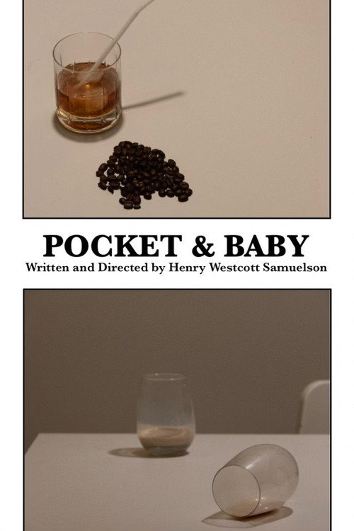Movie poster for Pocket & Baby