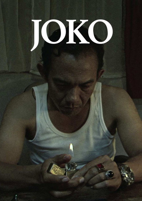 Movie poster for Joko (2017)