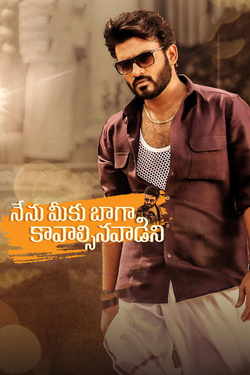 Movie poster for Nenu Meeku Baaga Kavalsinavaadini (2022)