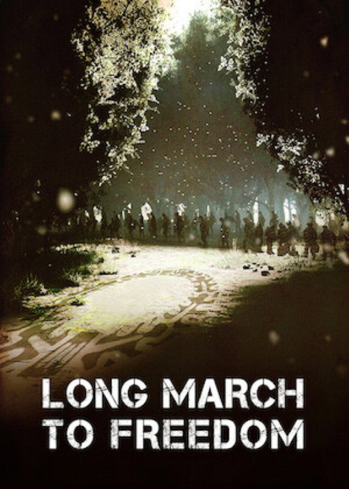 Movie poster for Long March to Freedom (2011)