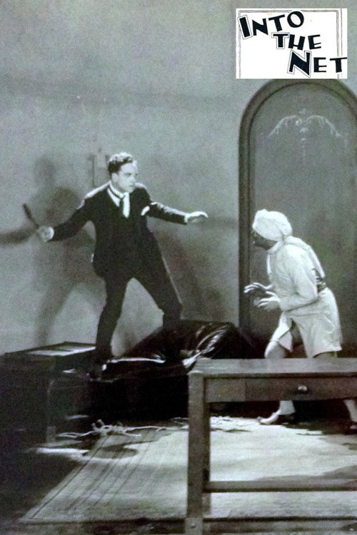 Movie poster for Into the Net (1924)