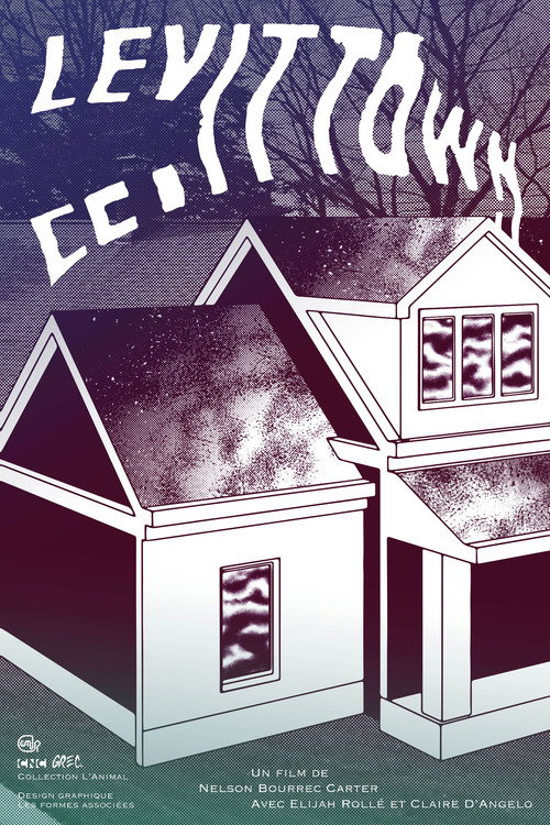 Movie poster for Levittown (2018)
