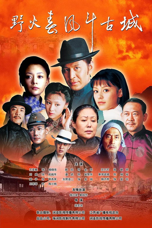 野火春风斗古城 poster