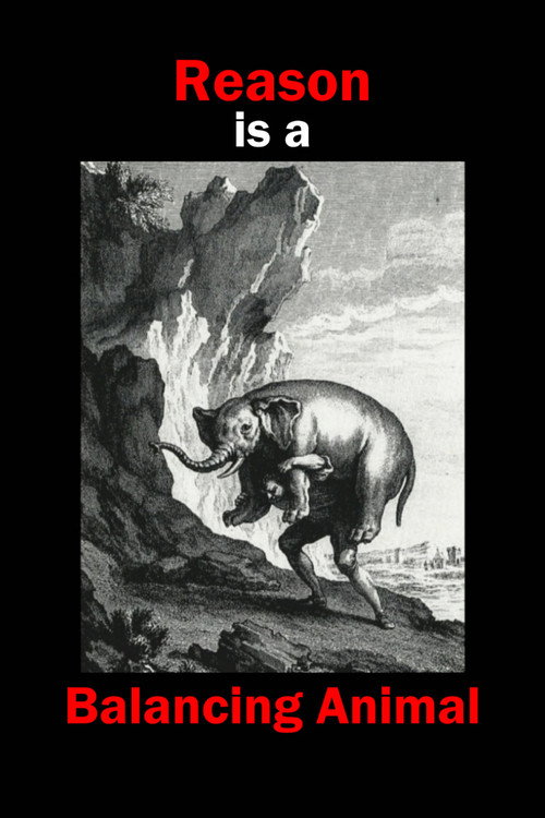Movie poster for Reason is a Balancing Animal (2017)