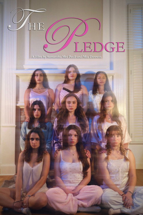 Movie poster for The Pledge