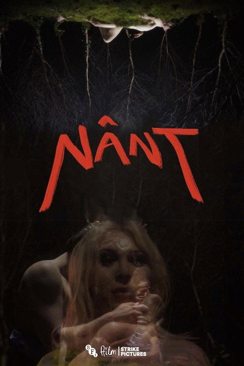 Movie poster for Nânt (2022)