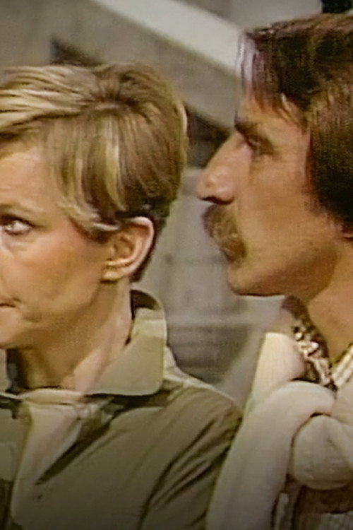 Movie poster for Recept na milování (1984)
