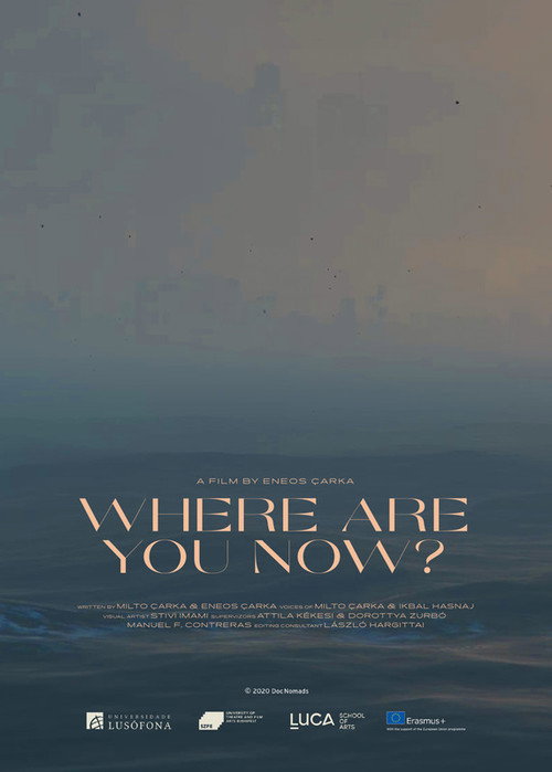 Movie poster for Where Are You Now? (2020)