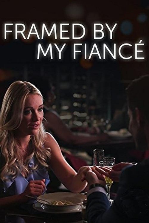 Movie poster for Framed By My Fiancé (2017)