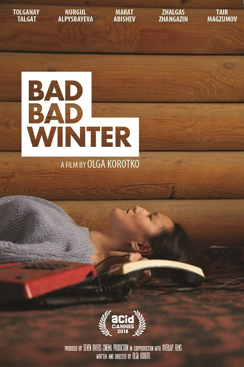 Movie poster for Bad Bad Winter (2018)