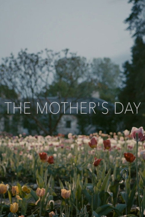 Movie poster for The Mother's Day (2017)