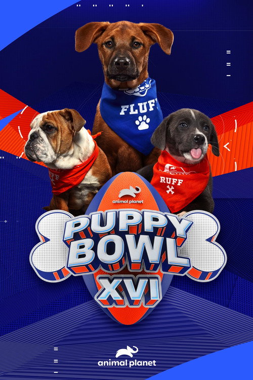 Movie poster for Puppy Bowl XVI (2020)