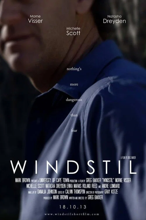 Movie poster for No Sign of the Wind (2013)