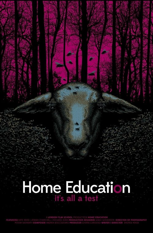 Movie poster for Home Education (2016)