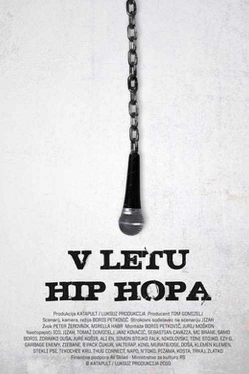 Movie poster for In the Year of Hip Hop (2011)