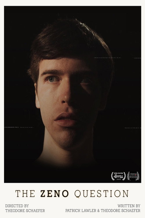 Movie poster for The Zeno Question (2016)