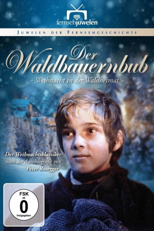 Movie poster for Der Waldbauernbub - Weihnacht in der Waldheimat (1983)