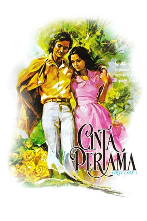 Movie poster for First Love (1973)