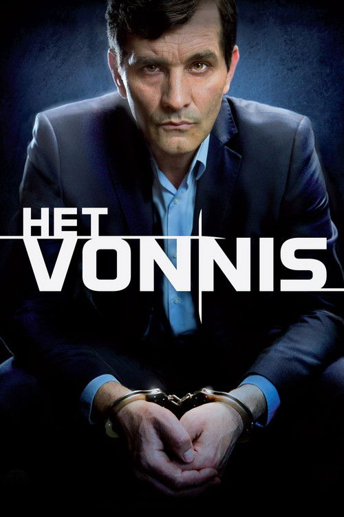 Movie poster for The Verdict (2013)