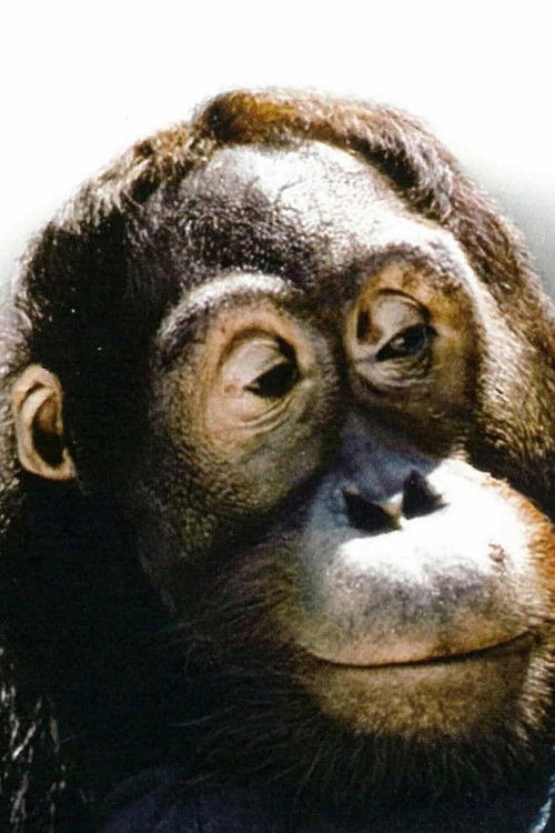 Photo of Manis, Acting