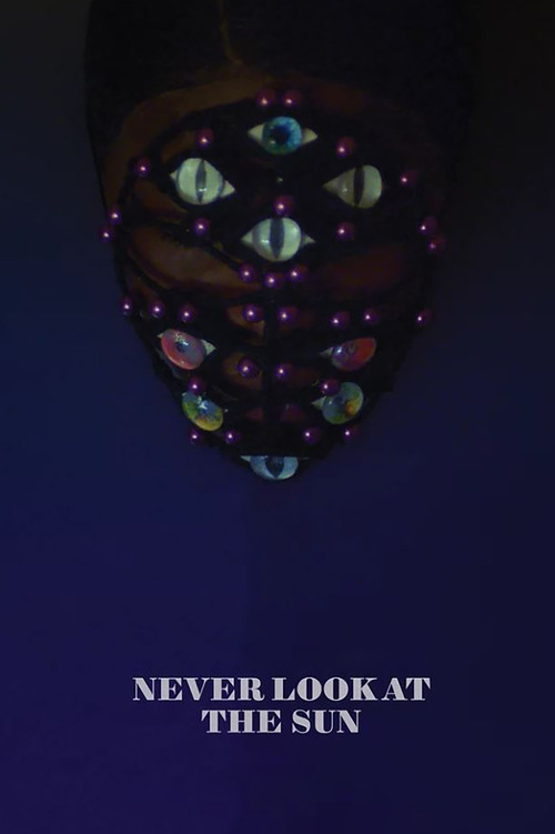 Movie poster for Never Look at the Sun (2024)