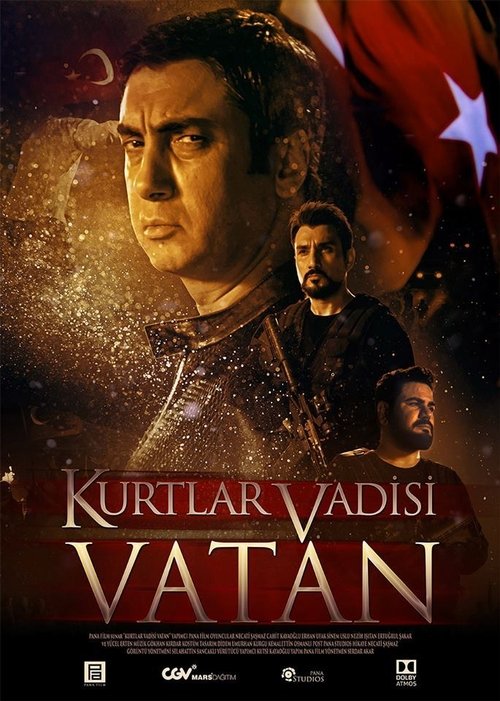 Movie poster for Valley of the Wolves: Homeland (2017)