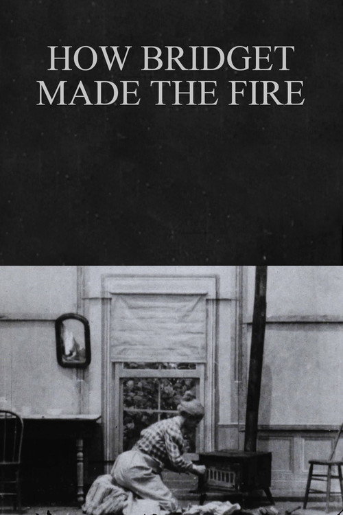 Movie poster for How Bridget Made the Fire (1900)
