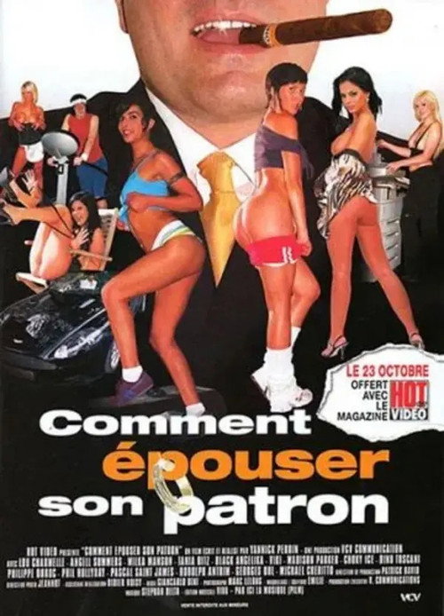 Movie poster for Comment épouser son patron (2009)