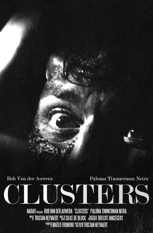 Movie poster for Clusters (2024)