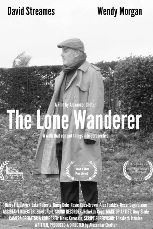 Movie poster for The Lone Wanderer (2025)