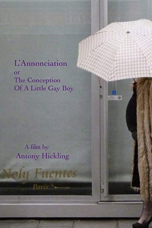 Movie poster for L'Annonciation or The Conception of a Little Gay Boy (2011)