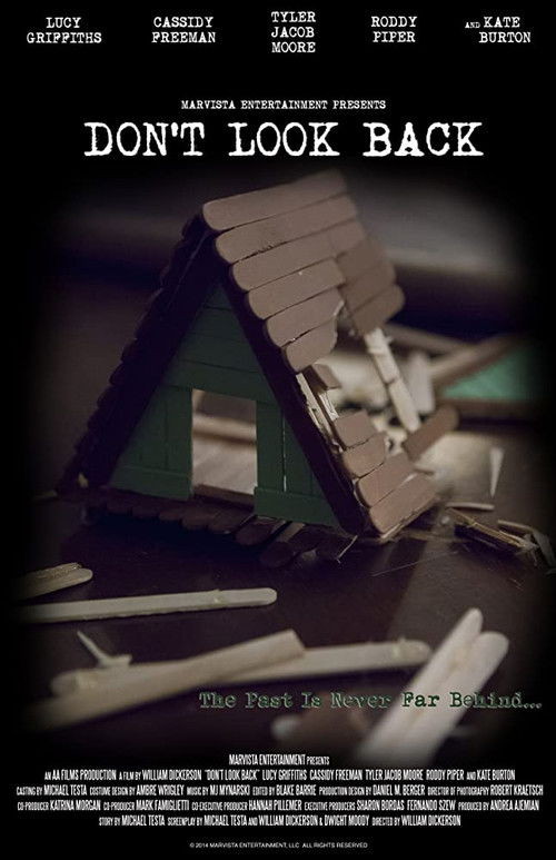 Movie poster for Don't Look Back (2014)