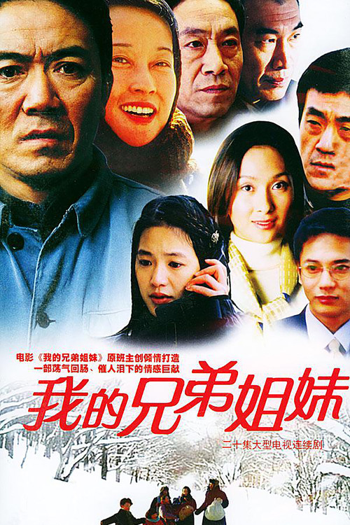 我的兄弟姐妹 poster