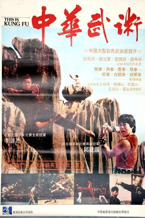 Movie poster for This Is Kung Fu (1983)