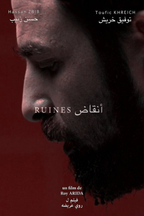 Movie poster for Ruines (2010)