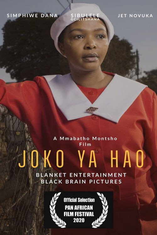 Movie poster for Joko ya Hao