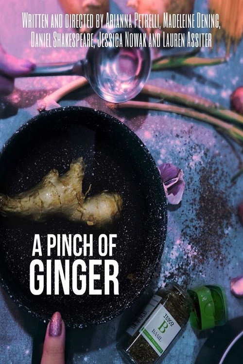 Movie poster for A Pinch of Ginger (2023)