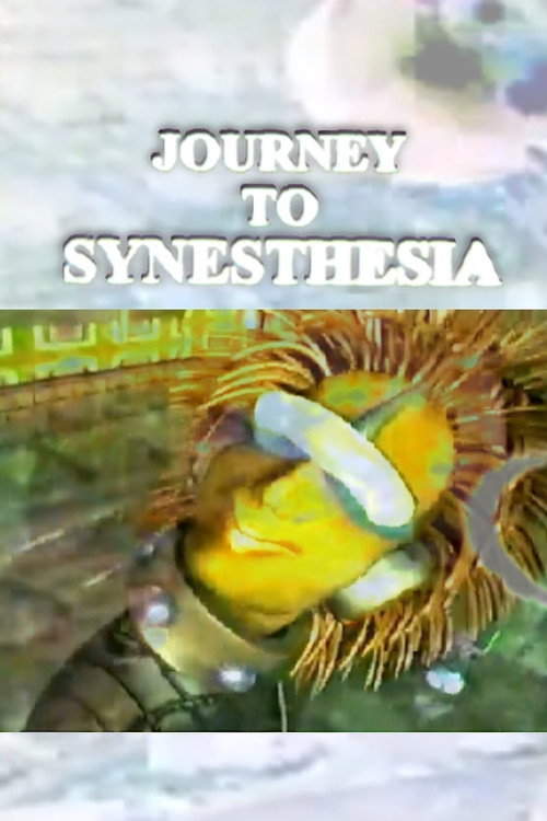 Movie poster for Journey to Synesthesia (1994)