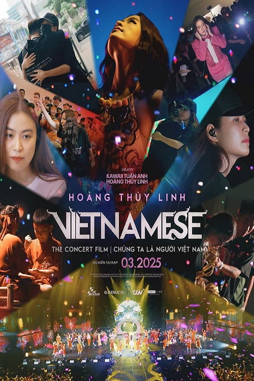Movie poster for The Vietnamese Concert Film (2025)