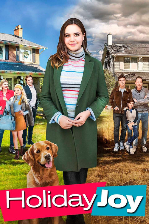 Movie poster for Holiday Joy (2016)