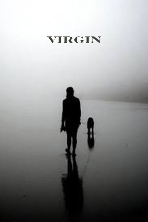 Movie poster for Virgin (2002)