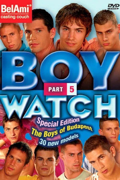 Movie poster for Boy Watch 5 (2005)