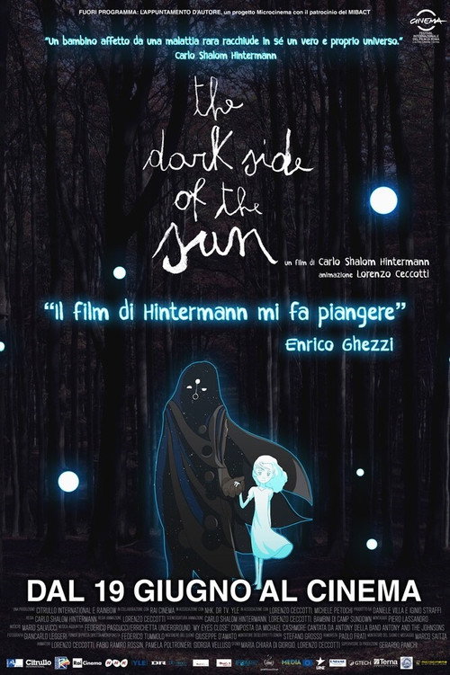Movie poster for The Dark Side of the Sun (2011)