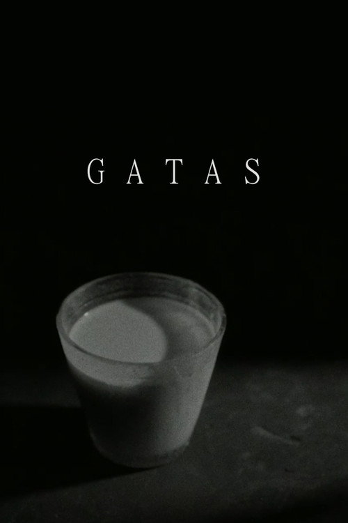 Movie poster for Gatas (2022)