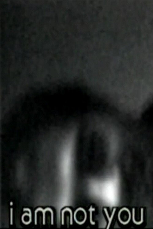 Movie poster for Video Letters 1-3 (1993)